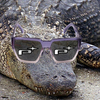 krokodil