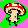 Mushroomcar