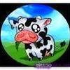 Cows