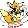 Grey Fox